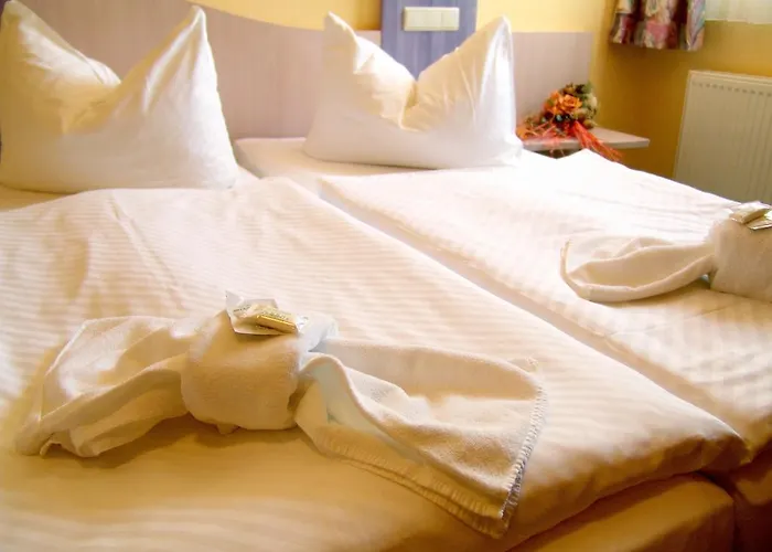 فندق Oder-hotel 3*