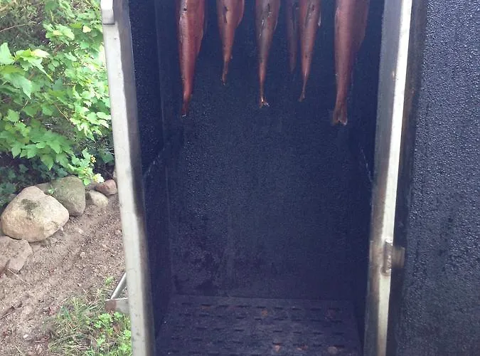 Oder-hotel 3* شفيدت